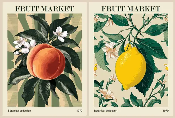 Conjunto Cartazes Retro Abstract Fruit Market Artes Parede Contemporâneas Moda — Vetor de Stock