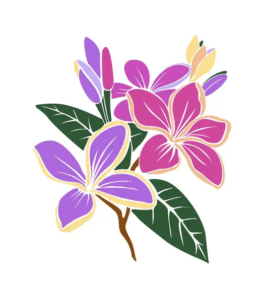 紫色的装饰 新鲜的 开有叶子的水仙花 手绘素描花卉图标 在白色背景上孤立的矢量平面插图 免版税图库矢量图片
