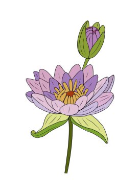 Su Zambağı, Temmuz ayı çiçeği, el çizimi, renkli taslak, ikon. Logo, dövme, duvar sanatı, damgalama, ambalaj için Lotus Modern tasarımı. Vektör illüstrasyonu beyaz arkaplanda izole edildi.