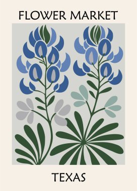 ABD çiçekli, Teksas Bluebonnet 'li retro Flower Market posterinin düz elle çizilmiş hali. Klasik botanik duvar sanatı 