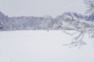 Kış, soğuk bir gün. Yalnız kayakçı karla kaplı donmuş orman gölünde kayak yapıyor.