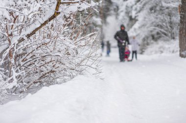 Kış. Soyut aile karla kaplı parkta yürüyor. Donmuş arazide karlı ağaçlar. Kış yaşam tarzı ve aktiviteleri. Doğa bulanık arkaplan, seçici odak