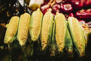 Birkaç organik, taze sarı mısır koçanı çiftçi pazarında sergileniyor.