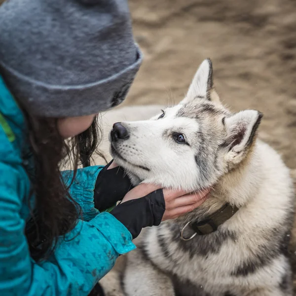 Kızların elleri köpeğe sarılır, soğuk sonbahar günlerinde yürür. Sevgili köpeğin ağızlık sahibi ellerde