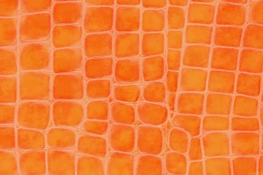 Hakiki deri kaplama, parlak altın rengi, deri sürüngeni, modaya uygun arka plan.