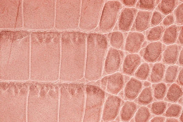 Genuine leather texture with imitation of exotic reptile with pink matte surface, trendy background