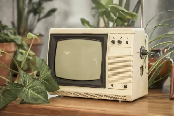 Retro tv close up in old room with indoor flowers