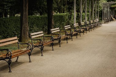 Parktaki sıra sıra sıra boş ahşap banklar. Yaz günü