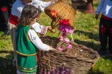 Bulgaristan 'ın Kazanlak kentinde düzenlenen geleneksel gül yaprakları sepetli geleneksel elbise giymiş küçük kız.