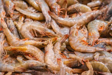 Deniz ürünleri pazarındaki taze karides yığınına yakın çekim.