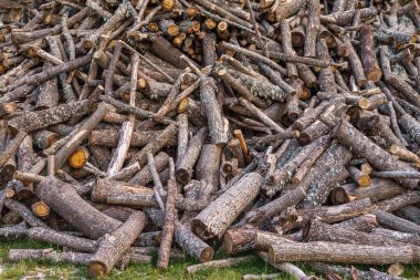 Kereste deposunda rastgele istiflenmiş taze kesilmiş kütüklerden oluşan geniş bir yığın.