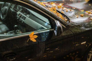 Yağmurlu bir günde camında ve camında güz yaprakları olan siyah bir arabanın yan görüntüsü