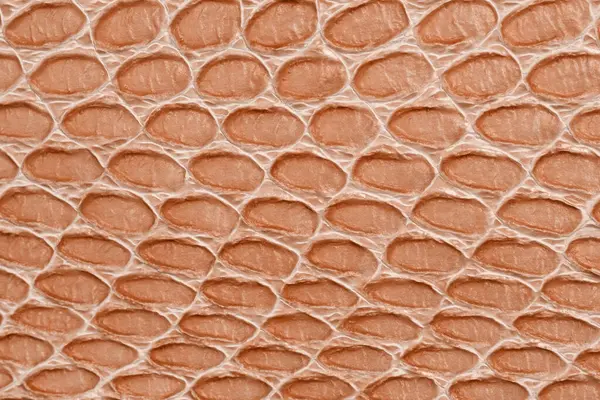 Açık kahverengi şeftali renginde organik desenli kabartmalı deri.