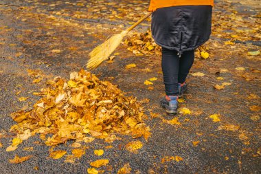 Turuncu ceketli işçi ıslak kaldırımda düşen sonbahar yapraklarını süpürüyor. Yağmurlu havada mevsimsel temizlik ve kentsel bakım