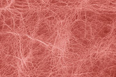 Kırmızı çatlamış deri dokular, karmaşık damarlar, organik kırışıklıklar. Geçmişi, moda tasarımı, lüks malzemeler için. Deri doku, anlamlı kırışıklıklar, organik desen, makro görünüm.