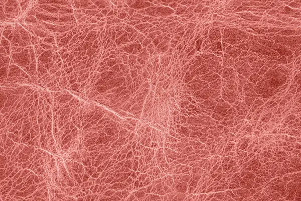 Kırmızı çatlamış deri dokular, karmaşık damarlar, organik kırışıklıklar. Geçmişi, moda tasarımı, lüks malzemeler için. Deri doku, anlamlı kırışıklıklar, organik desen, makro görünüm.