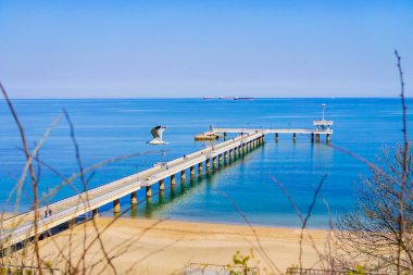 BURGAS, BULGARIA - 21 Mart 2025 'te sakin mavi denizde uzun bir iskele uzanıyor ve huzurlu kıyı ufkunun üzerinde uçan martılar var. Deniz manzarası, mimari, doğa, seyahat kompozisyonu özgürlüğünü harmanlıyor