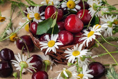 Etrafı papatya ve kağıt kaplamalı yabani otlarla çevrili sepetteki taze kirazlar. Yaz hasadı konsepti, organik meyve, doğal kırsal yaşam. Yaz arkaplanı