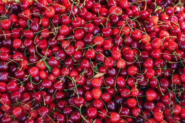 Arka plan olarak olgun kirazlar, üst manzara. Köklü taze kirazlar, parlak doğal ışık. Doğal arka plan, doku. Kiraz kavramı, organik meyve, yaz hasadı, sağlıklı beslenme.