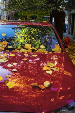 Kaputunda sarı yapraklar olan kırmızı araba. Parlak kırmızı araba dağınık sarı sonbahar yapraklarıyla kaplı, yüzeyde renkli ağaçları yansıtıyor. Sonbahar mevsimi kavramı, şehir güzelliği, doğa ile şehir hayatı buluşması