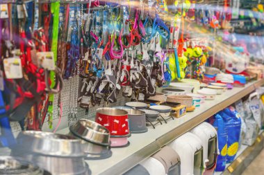 BURGAS, BULGARIA - 23 SEPTEMBER, 2025: Vivid assortment of pet supplies on store shelves, bowls, harnesses, toys. View through display window with reflection. Concept of pet care, modern shopping