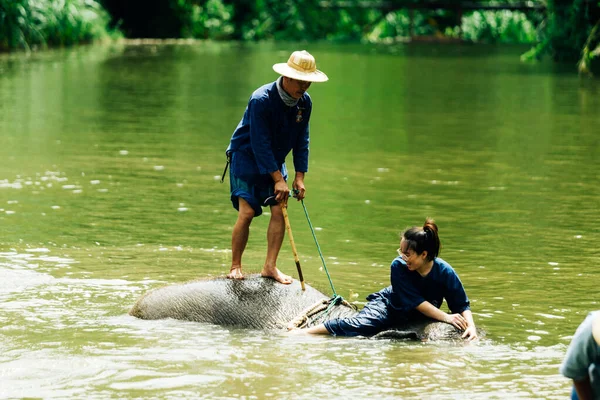 Lampang Thailand Července 2023 Mahout Koupe Svého Slona Řece Thai — Stock fotografie