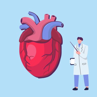 İnsan kalbi düz stil illüstrasyon vektör tasarımı