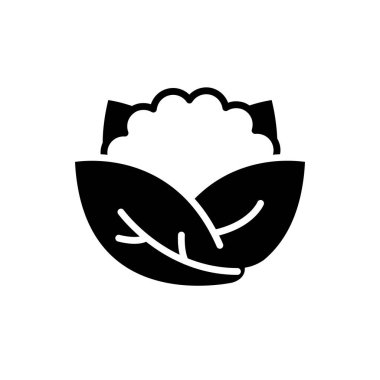 Karnabahar katı ikon vektör tasarımı web veya mobil uygulama için iyidir