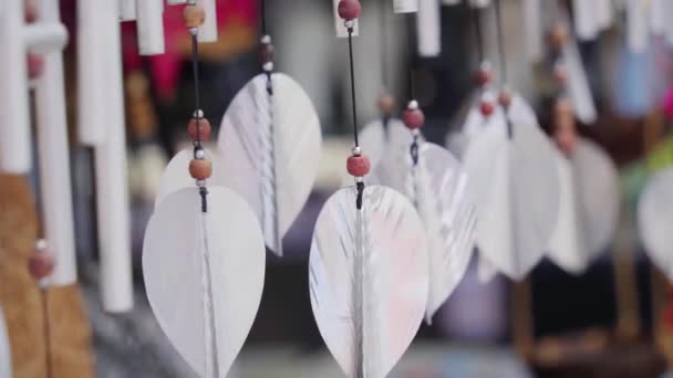 Beautiful Background Seashells Feathers Souvenirs Wind — Stock Video