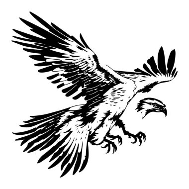 Uçan Saldırgan Osprey Kartal Kuş Görüntü Taslak Vektörü. Kartal dövmesi vektörü, Kartal Logosu Çizgisi