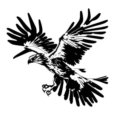 Uçan Saldırgan Osprey Kartal Kuş Görüntü Taslak Vektörü. Kartal dövmesi vektörü, Kartal Logosu Çizgisi