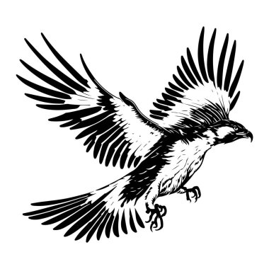 Uçan Saldırgan Osprey Kartal Kuş Görüntü Taslak Vektörü. Kartal dövmesi vektörü, Kartal Logosu Çizgisi