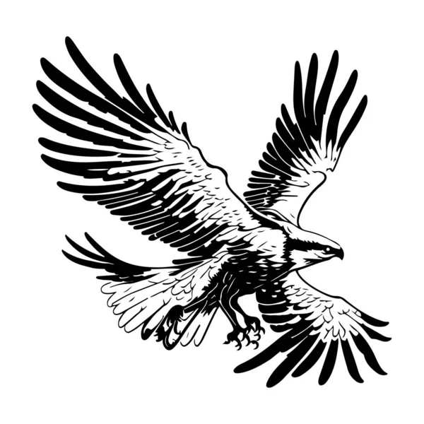 Voando Atacando Osprey Águia Pássaro Silhueta Esboço Vetor Vetor Tatuagem — Vetor de Stock
