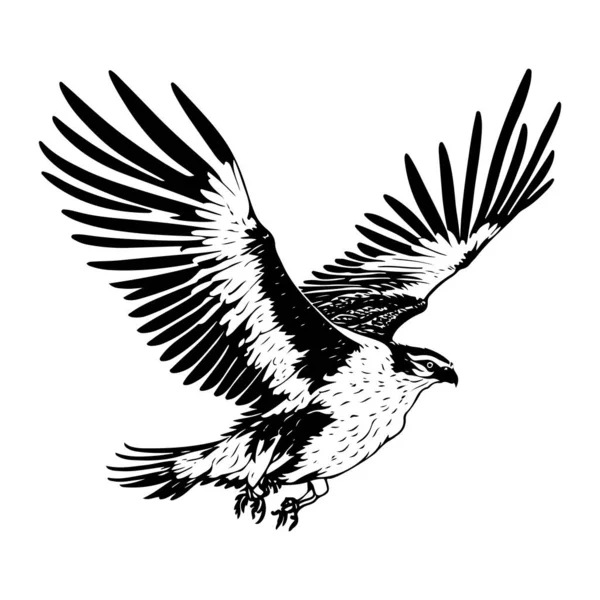 Flying Attacking Osprey Eagle Bird Silhouette Outline Vector Вектор Татуировки — стоковый вектор