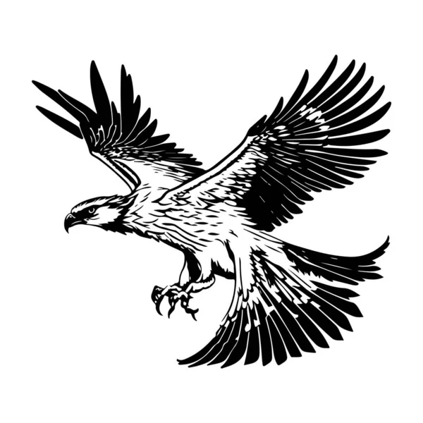 Létající Útočící Osprey Eagle Bird Silueta Obrys Vektoru Eagle Tetovací — Stockový vektor