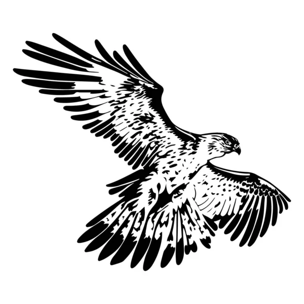 Flying Attacking Osprey Eagle Bird Silhouette Outline Vector Adler Tätowierungs — Stockvektor