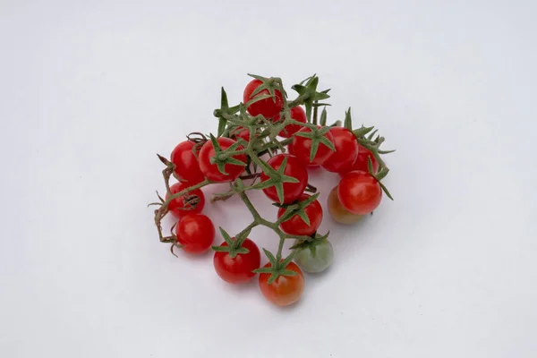 Beyaz arka planda bir dalda kiraz domatesleri. Sebze
