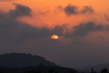 Güzel bir gün doğumu, altın bir gökyüzüne karşı bir ağaç silueti oluşturur, doğadan sonra huşu uyandıran bir güzellik yaratır..