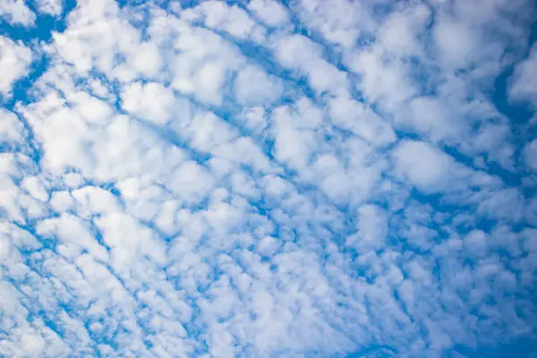 Sakin, mavi gökyüzü, berrak beyaz bulutlar ve sakin bir açık hava ortamı..