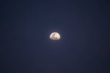 Awe-inspiring celestial beauty fills the peaceful night sky. Tranquil and serene.