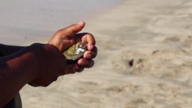 Meksika sahilinde taze istiridye hazırlayan adam.