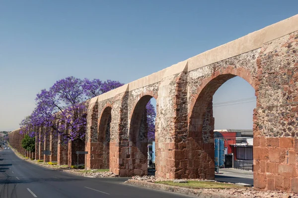 Jacaranda ağacı ve mor çiçekli Queretaro Meksika su kemeri.