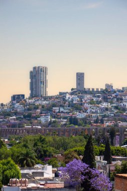 Queretaro şehrinin manzarası. Meksika su kemeri ve jakaranda ağacı.