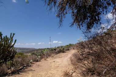Toprak bir yol, dağlara çıkar. Yarı çölde koşmak için ideal bir yol.