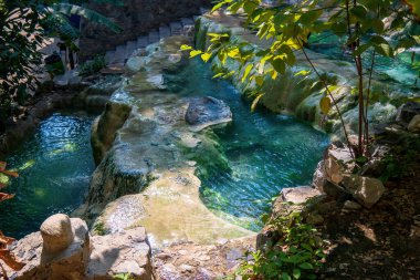 Çeşitli alanlarda bir yolculuğa çıkın. Bereketli orman, sakin dere ve büyüleyici ormanlar. Tolantongo, Hidalgo 'daki bitki yaşamını ve doğal harikaları keşfedin.