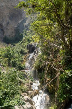 Dağ nehirlerinden yemyeşil ormanlara kadar çeşitli manzaraları keşfedin. Hidalgo 'daki su kaynakları ve doğal güzellikler arasında yolculuk büyüleyici Tolantongo