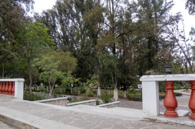 San Luis de la Paz, Guanajuato 'nun göbeğinde huzurlu bir bahçe inzivası keşfedin. Doğayla şehir yaşamının uyumlu bir karışımı. Alameda..