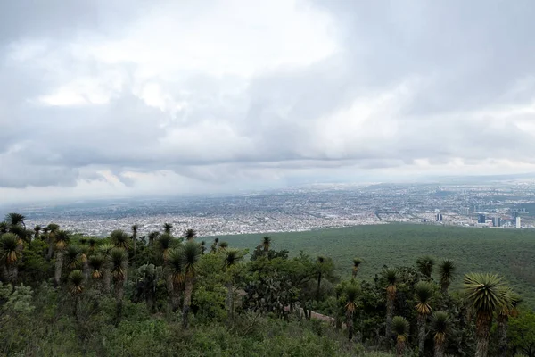 Cimatario 'nun büyüleyici bakış açısından Queretaro, Meksika üzerinde bir hava yolculuğuna çıkın. Değişik şekiller, ormanlar, kıyılar ve dağlarla süslenmiş büyüleyici bir manzara keşfedin. Doğanın güzelliğini ve kentsel çekiciliğini huşu ile tecrübe et.