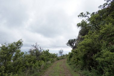 Dağlarda, ormanlarda ve otlaklarda bir yolculuğa çıkın. Dolaşan yollar, patikalar ve savanalar doğanın güzelliğini keşfeder..
