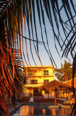 Plajda bir otel. Palmiye ağaçları, havuzu ve dinlenme alanı var.